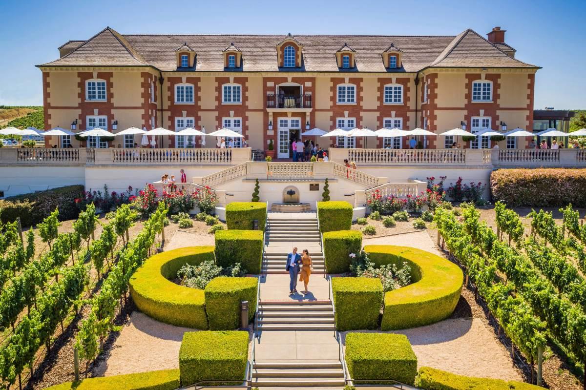 Producer Profile: Domaine Carneros